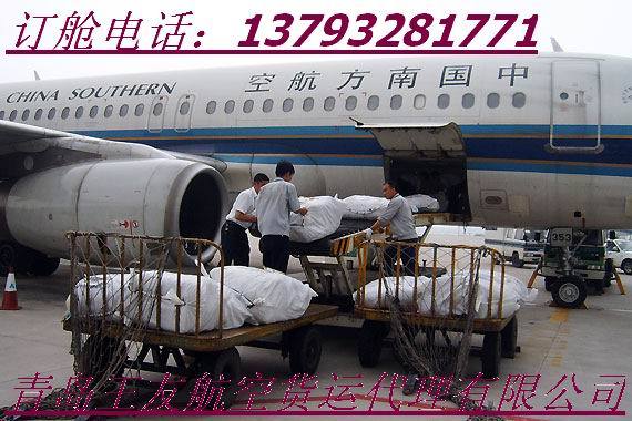 青岛宠物空运国内航空运输代理服务好效率高